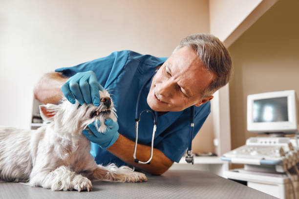 Best Emergency Tooth Extraction in Old Greenwich, CT